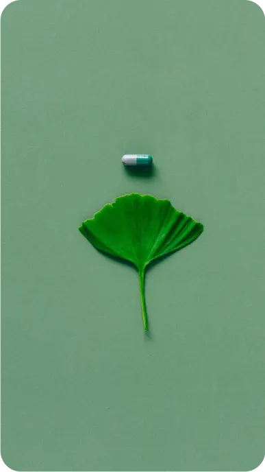 Sleep aid pill and leaf on green background