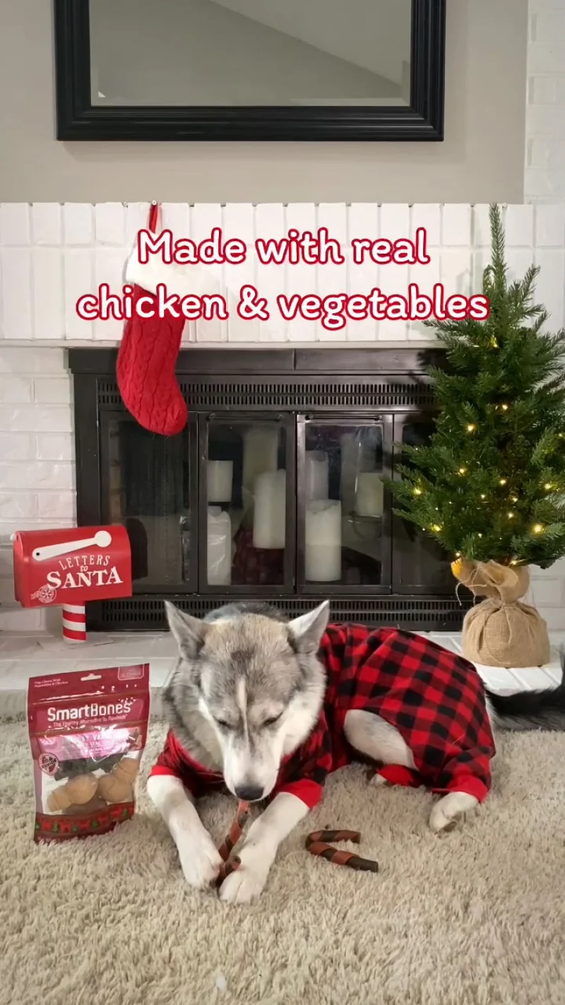 TikTok still of husky in Christmas sweater eating treat with text overlay reading Made with real chicken and vegetables