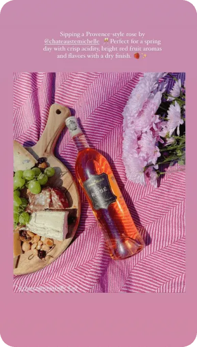 Instagram story post of a bottle of rose laid on a picnic blanket with flowers and charcuterie