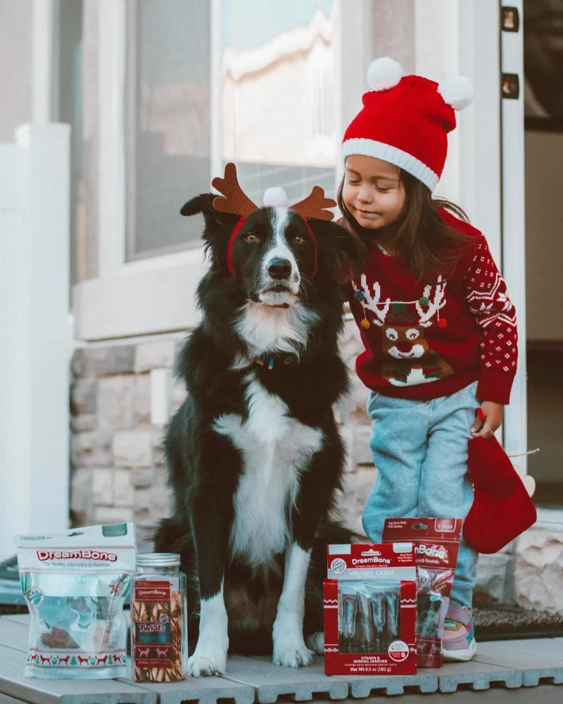 Border collie in reindeer antlers sits on porch next to child in santa hat and DreamBone products
