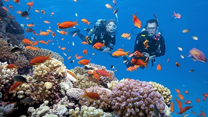 Nha Trang Island Diving Tour