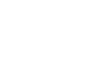 logo majordomus c d solution