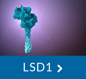LSD1 Inhibitor