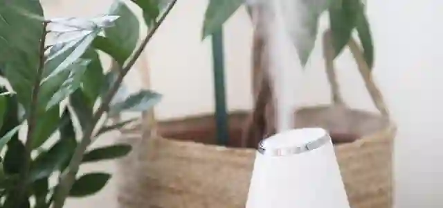 Ilmankostutin kasvin vieressä puhaltamassa kosteutta ilmaan.