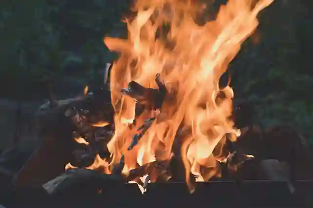 Kuva kokosta. Vasemmassa yläkulmassa pallura jossa teksti:"Toimitus jopa tunnissa".