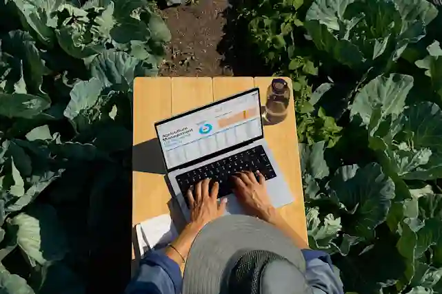 Henkilö kirjoittaa Apple MacBook 14" M4 -kannettavalla puisella pöydällä kasvimaan ympäröimänä