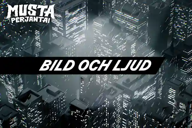 Nattlig stadsvy över skyskrapor fotograferad uppifrån. Text: Black Friday, Bild och ljud.