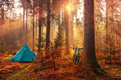 Syksyisessä metsässä teltta. Retkeilijöiden maastopyörät nojaavat suureen kuuseen. Aurinko pilkottaa puiden välistä. Tutustu Verkkokauppa.comin syysportaaliin!
