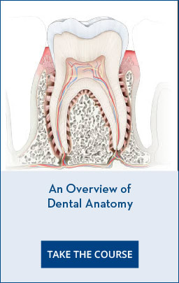 Peri-Implant RelatedArticle-2 jpg