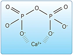 Calculus Control - Figure 2