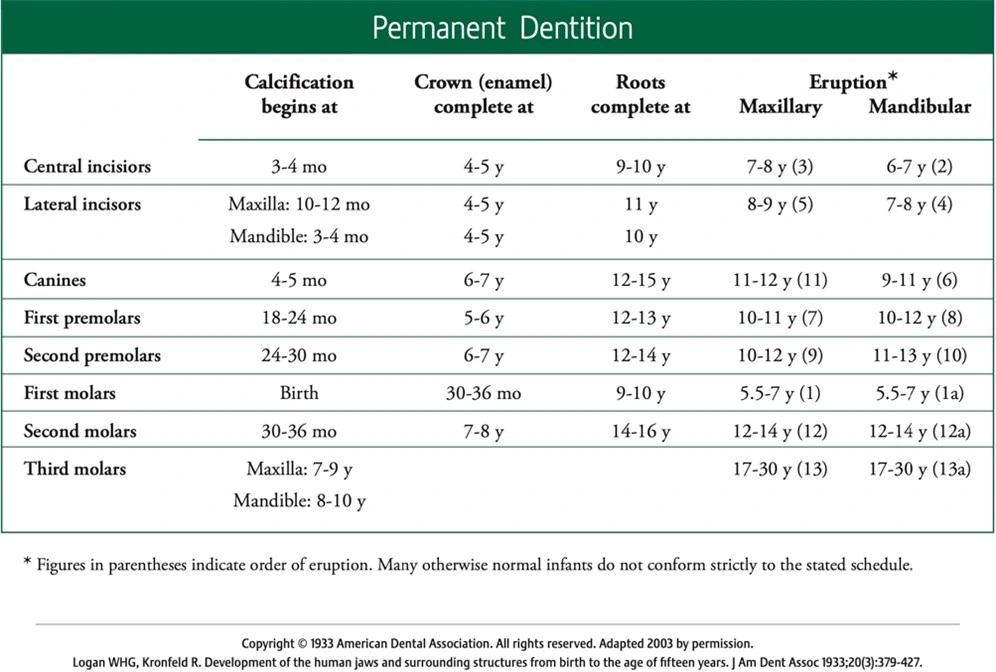 Les modèles d’éruption - Figure 9