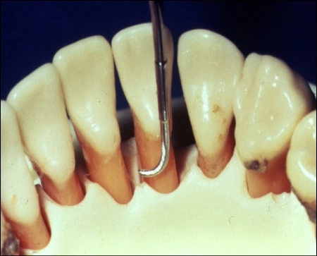 image38.jpg