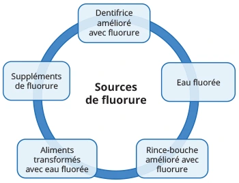 Figure 1. Source de fluorure.