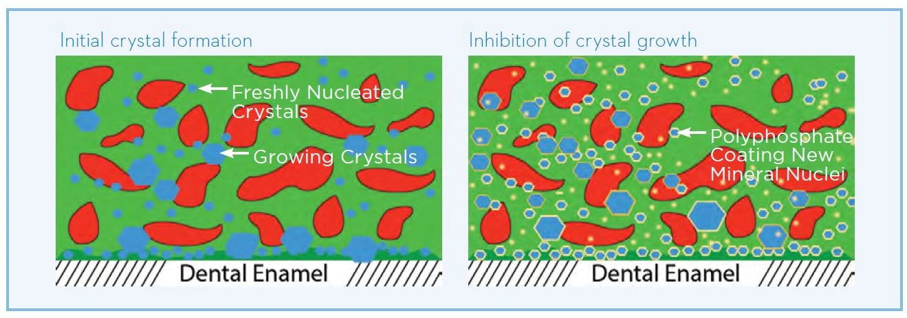 Mechanism of action of sodium hexametaphosphate