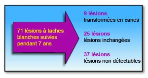 71 lésions blanches chez des sujets âgés de 8 ans ont fait l'objet d'un suivi pendant 7 ans