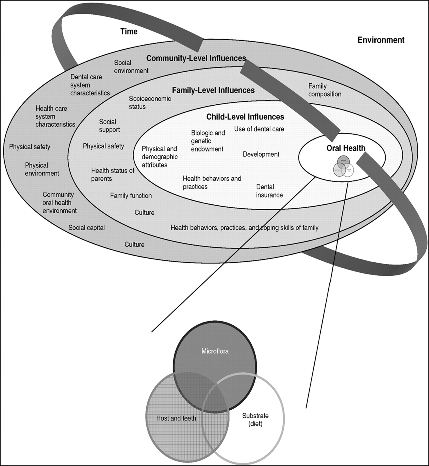 Les caries et leur prévention - Figure 4