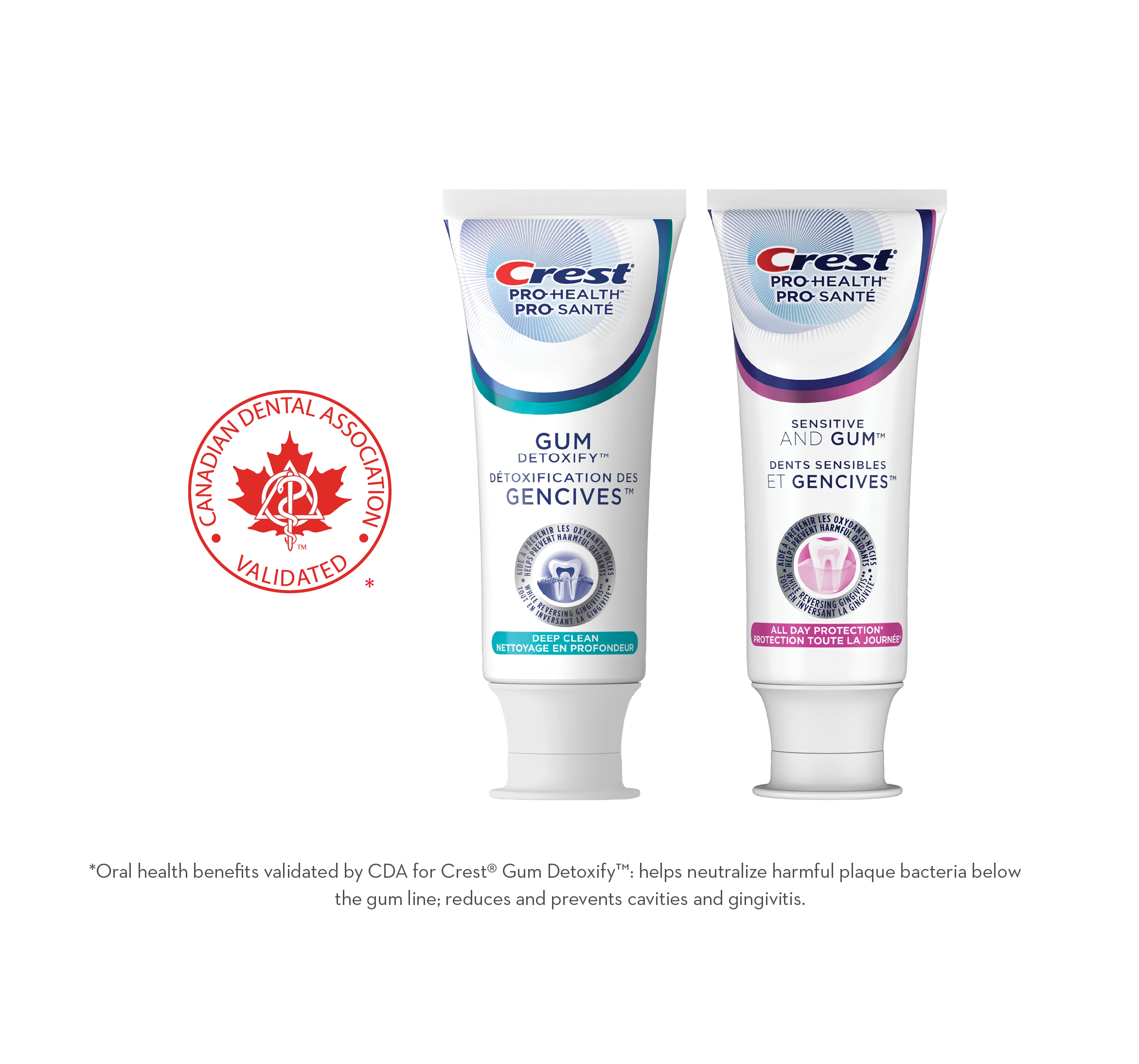Dentifrice 