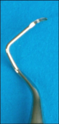 image43.jpg