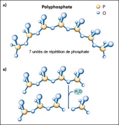 Figure 17. Hydrolyse de l’HMPS.