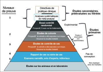 Diagram showing primary and Secondary research studies and how they relate to the hierarchy of evidence