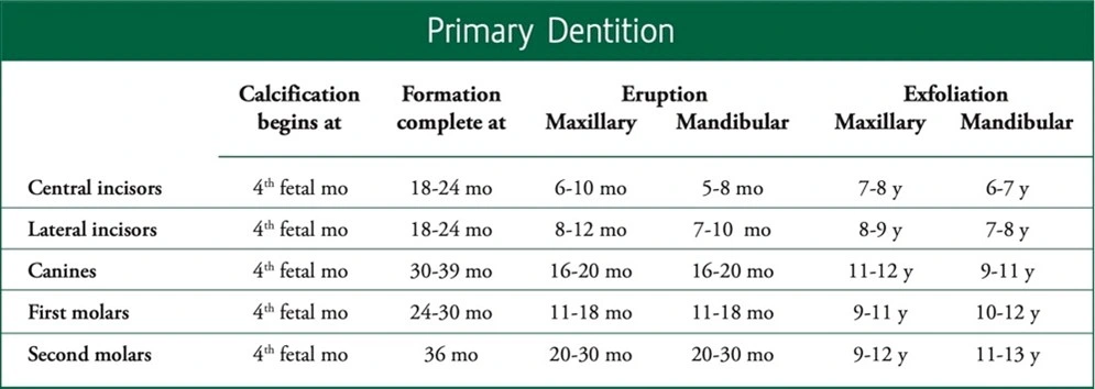 Eruption Patterns - Figure 8