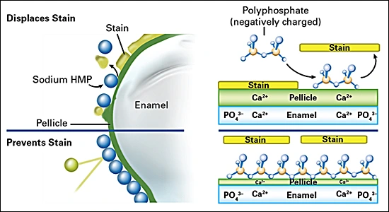 Stain Control/Whitening Agents - Figure 1