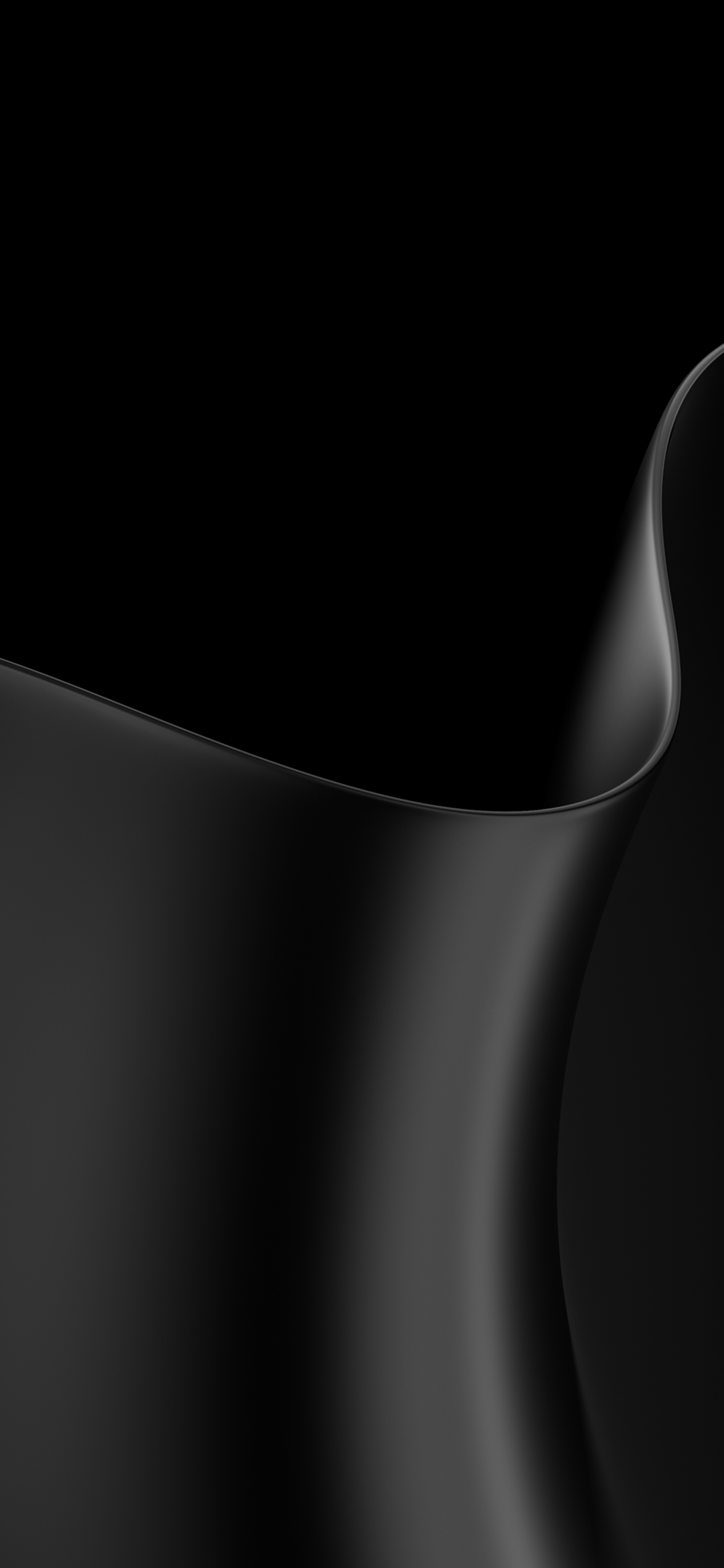 Black Windows Bloom close up image