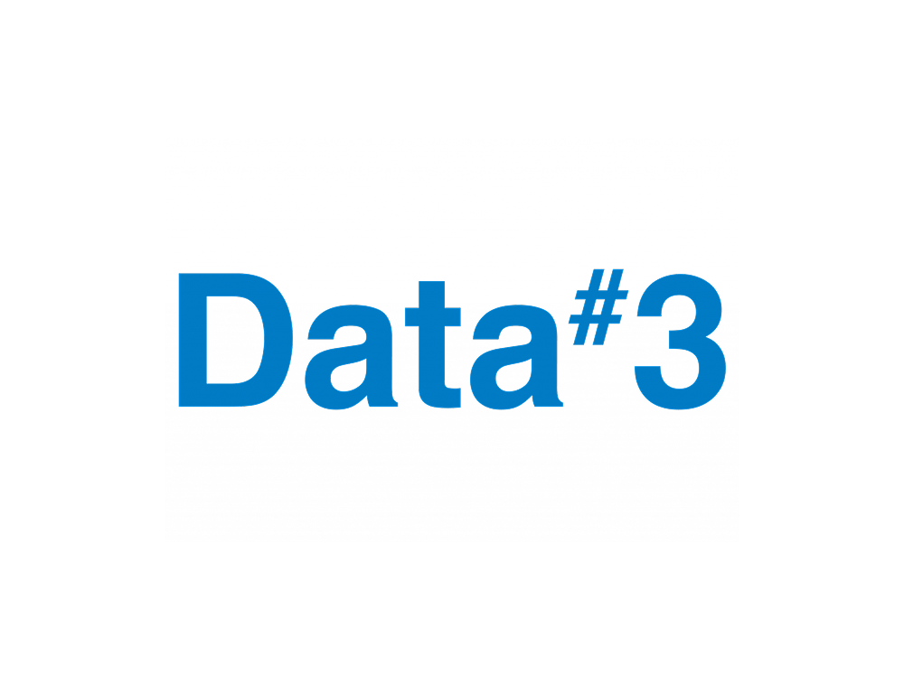Data#3 logo