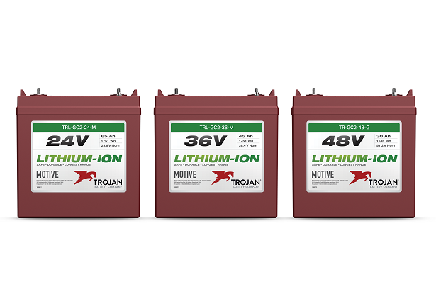 Lithium Family Front-615x475