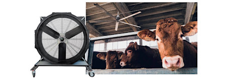 Miks on hea ventilatsioon oluline ka loomafarmis?