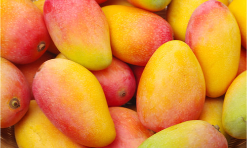 Fresh Small Ataulfo Mango - Shop Specialty & Tropical at H-E-B