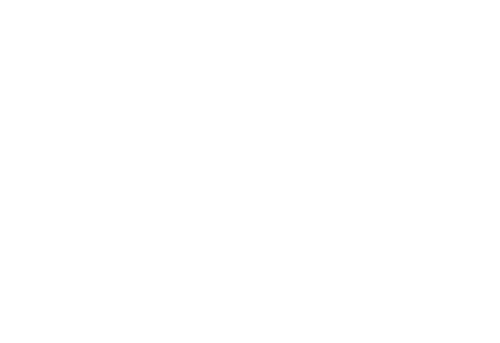 1800flowers反转500x343.