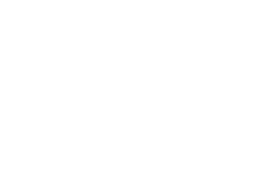 1800Flowers Reversed 500x343