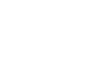 Genius Gourmet Logo White