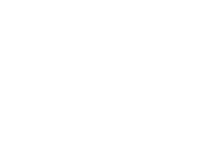 NOBULL white