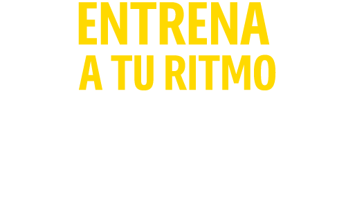 ENTRENA A TU RITMO DESDE $279 AL MES