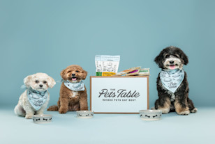 The Pets Table lifestyle photo