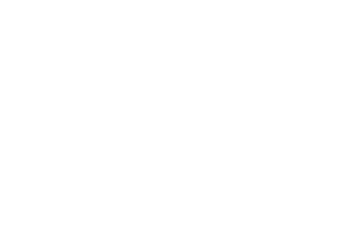 Fruitbouquets逆转了500x343.