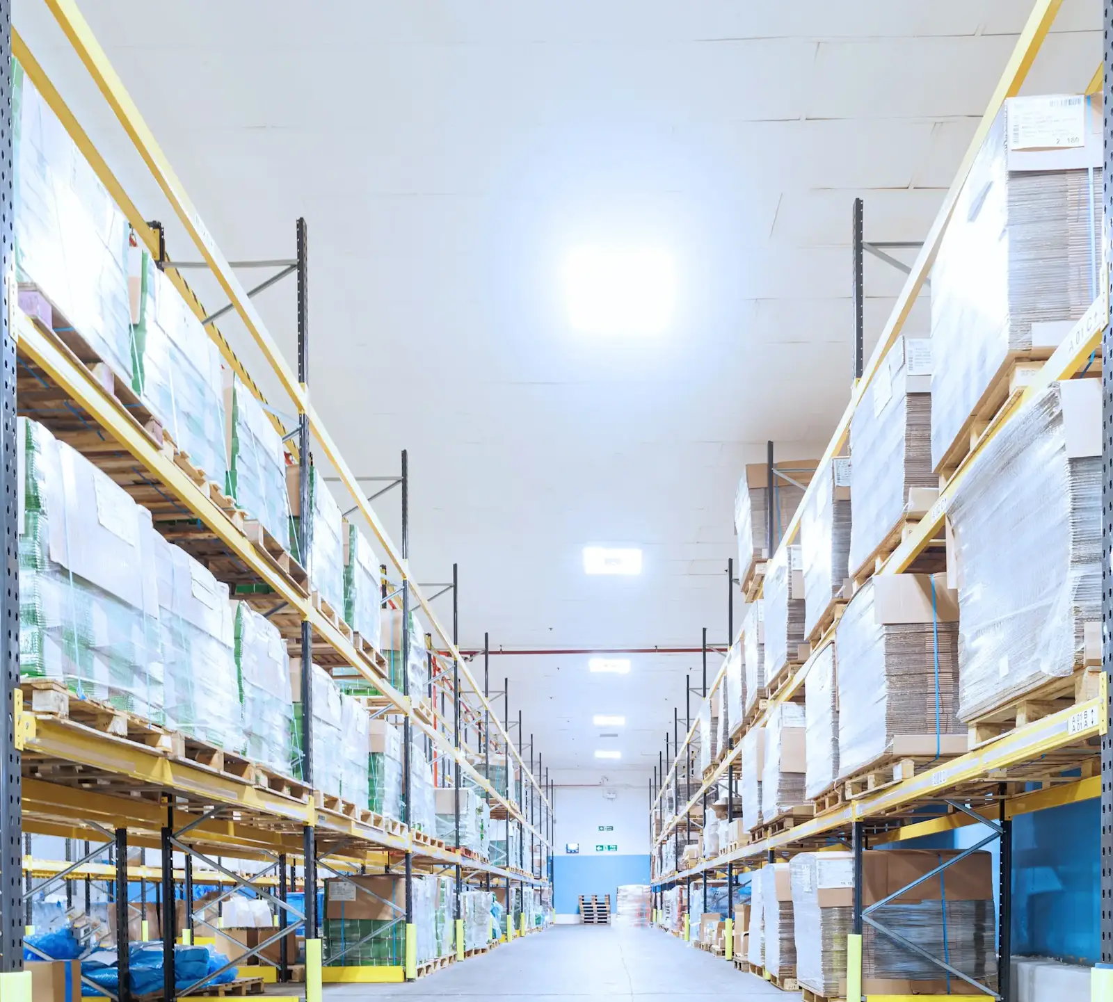 many-pallet-trucks-are-lined-up-near-each-other-in-2023-11-27-05-35-27-utc (1)