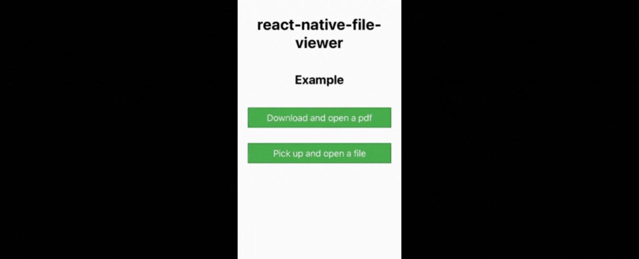 File Viewer