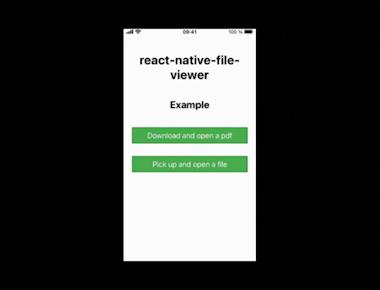 File Viewer