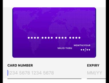 Animated Credit Card Input With Data Access