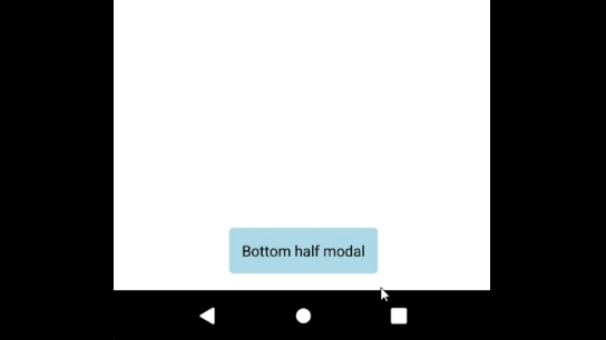 Bottom half modal