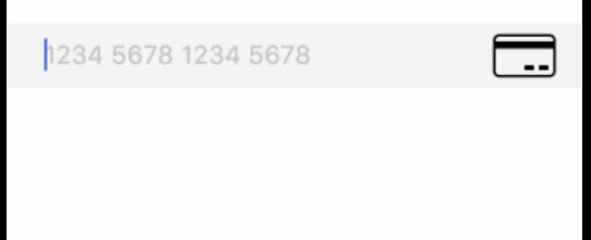 Simple Credit Card Input With Data Access