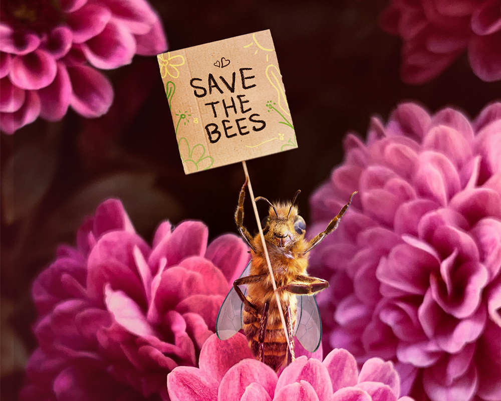 A bee holding a sign