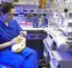 UTIN: funcionários da unidade de terapia intensiva neonatal