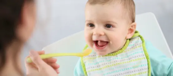 O meu bebé não aceita alimentos sólidos e agora?