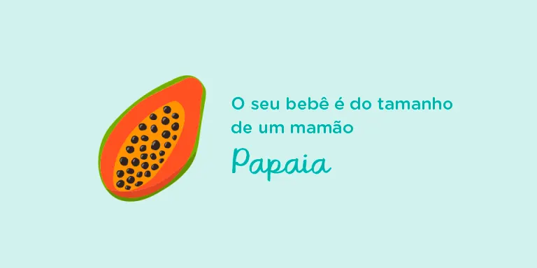 Your baby is the size of a papaya