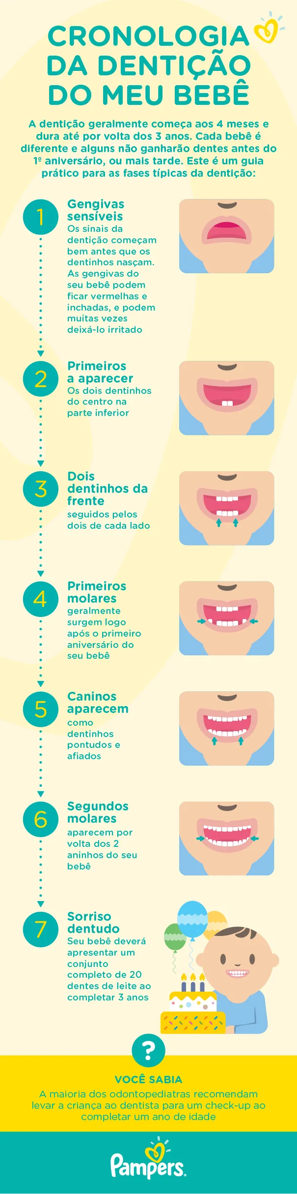 Conheça as diferentes etapas da dentição do seu bebê
