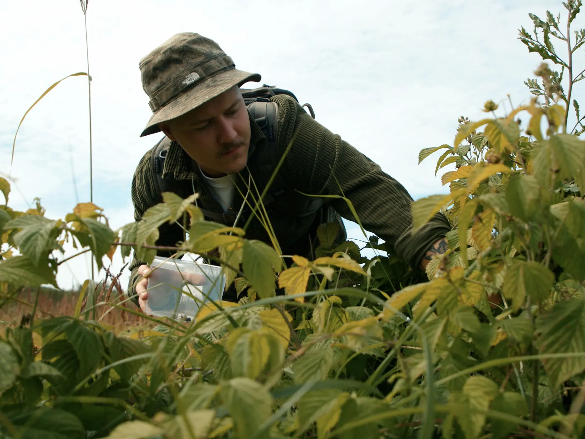 Mathias Klausen Broksø cueillant des plantes à l’extérieur